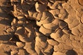 Brown ground texture with cracks Royalty Free Stock Photo