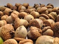 Brown group of acorns on a white background Royalty Free Stock Photo