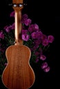 Brown guitar ukulele back side magenta flowers Royalty Free Stock Photo