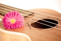 Brown guitar ukulele front view silouette close up Royalty Free Stock Photo