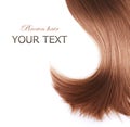 Brown Hair Texture