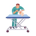 Veterinary doctor examining the rabbit on the table in the vet clinic. Vector colorful illustration in cartoon style