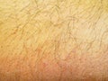 Brown hairy human skin texture