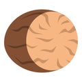 Brown half of nutmeg icon isolated