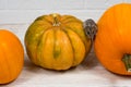 Brown hamster crawls on orange pumpkins on a white background.