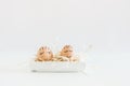 Brown hand drawn eggs with faces in the nest. Gift card for your design, place for text. Minimalist Easter Royalty Free Stock Photo