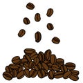 Brown hand drawn vector illustration of group of coffee beans