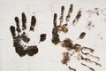 Brown Handprint on White