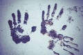 Brown Handprint on White