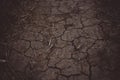 Brown hard earth in cracks, rural road texture close-up Royalty Free Stock Photo