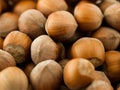 Brown hazelnuts