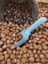 brown hazelnuts poured into a basket