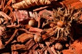 Brown hazelnuts on red wood mulch. seed closeup. fall season Royalty Free Stock Photo