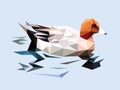 Brown head duck swim on the ripple blue water low polygon