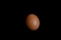 Brown hen egg on a black background close-up Royalty Free Stock Photo