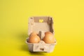 Brown hen eggs carton box on white Royalty Free Stock Photo