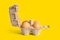 Brown hen eggs carton box on white Royalty Free Stock Photo