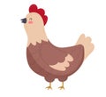 Brown hen, poultry breeding vector Illustration