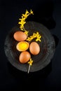 Brown hen`s eggs decorates with yellow flowers on antique plate, rustic food photography