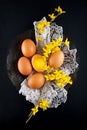 Brown hen`s eggs decorates with yellow flowers on antique plate, rustic food photography