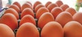 Brown Hens Eggs Royalty Free Stock Photo