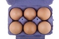 Brown hens eggs in blue egg carton Royalty Free Stock Photo