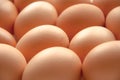 Brown hens Eggs close up Royalty Free Stock Photo