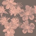 Brown Hibiscus Decor. Gray Watercolor Set. Coral Seamless Textile. Flower Backdrop Pattern Plant. Tropical Foliage. Summer Backdro Royalty Free Stock Photo