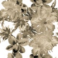 Brown Hibiscus Painting. Gray Watercolor Print. Colorless Seamless Design. Flower Decor Pattern Decor. Tropical Decor. Summer Gard