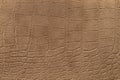 Brown hide texture Royalty Free Stock Photo