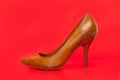 Brown high heels shoes Royalty Free Stock Photo