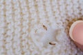 brown hole in product made of natural wool, shells of household moth larvae, Clothes moth, selective focus, pest concept,