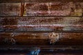 Brown horizontal wooden panel for rough wood wallpaper or background Royalty Free Stock Photo