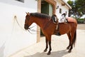 Brown horse bound to wall with leather saddle Royalty Free Stock Photo