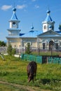A horse and orthodox church in russian countryside
