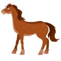 Brown horse from the farm, flat, isolated object on a white background, vector illustration Royalty Free Stock Photo