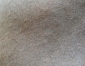 Brown horse fur background Royalty Free Stock Photo