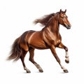 Hyper-realistic 8k Horse Galloping On White Background Royalty Free Stock Photo