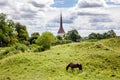 A brown horse grazes on a slope of a green hill, in a rustic par