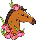 Brown horse head with pink crocus flowers on white background