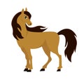 Brown horse, isolated Royalty Free Stock Photo