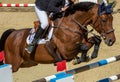 Brown horse jumping the obstacle durign a five star competition in Italy