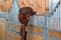 Brown horse leather saddle in stable closeup Royalty Free Stock Photo
