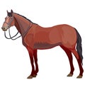 Brown horse in natural style, isolated object on a white background, vector illustration Royalty Free Stock Photo