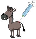 Brown horse pricked with a syringe of vaccine from a veterinarian, with a painful sting