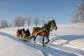 Brown horse pulling sleigh with peoples, winter wounderland landscape Royalty Free Stock Photo