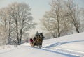 Brown horse pulling sleigh with peoples, winter wounderland landscape