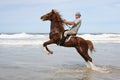 Brown horse rearing in sea Royalty Free Stock Photo