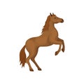 Brown horse rearing up. Animal with hooves, beautiful flowing mane and long tail. Flat vector design Royalty Free Stock Photo