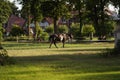 brown horse running around the hippodrome Royalty Free Stock Photo